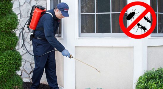 Viranşehir Akrep İlaçlama böcek ilaçlama ve haşere kontrolü — ilaclama-tr.com